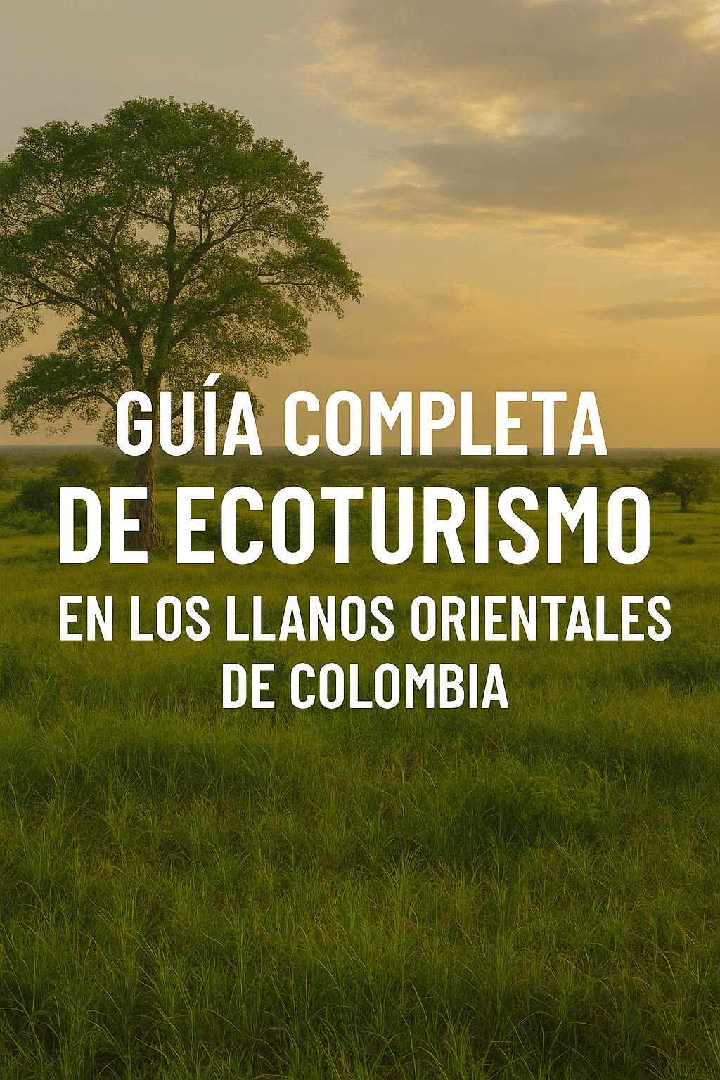 Guía completa de ecoturismo en los Llanos Orientales de Colombia